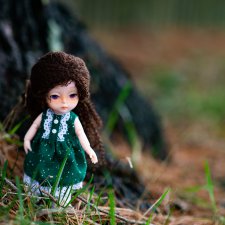 Баболиша на прогулке. Много фотографий