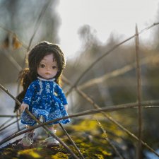 Большое путешествие крошки Евочки. День первый