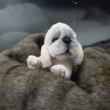 Хочу узнать ваше мнение