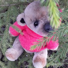 Мишутка Тедди