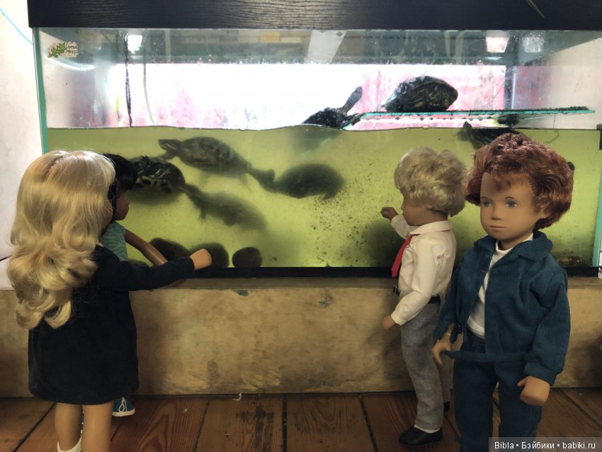 Любовь к Сашам как любовь к искусству, Sasha doll (фото 2)