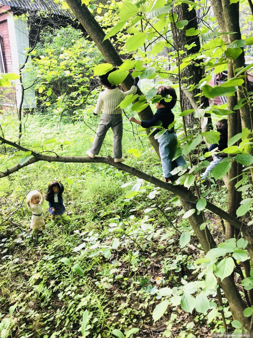 Куклы Sasha, выезд в лес — Куклы Sasha Morgenthaler (Саша Моргенталер): Trendon