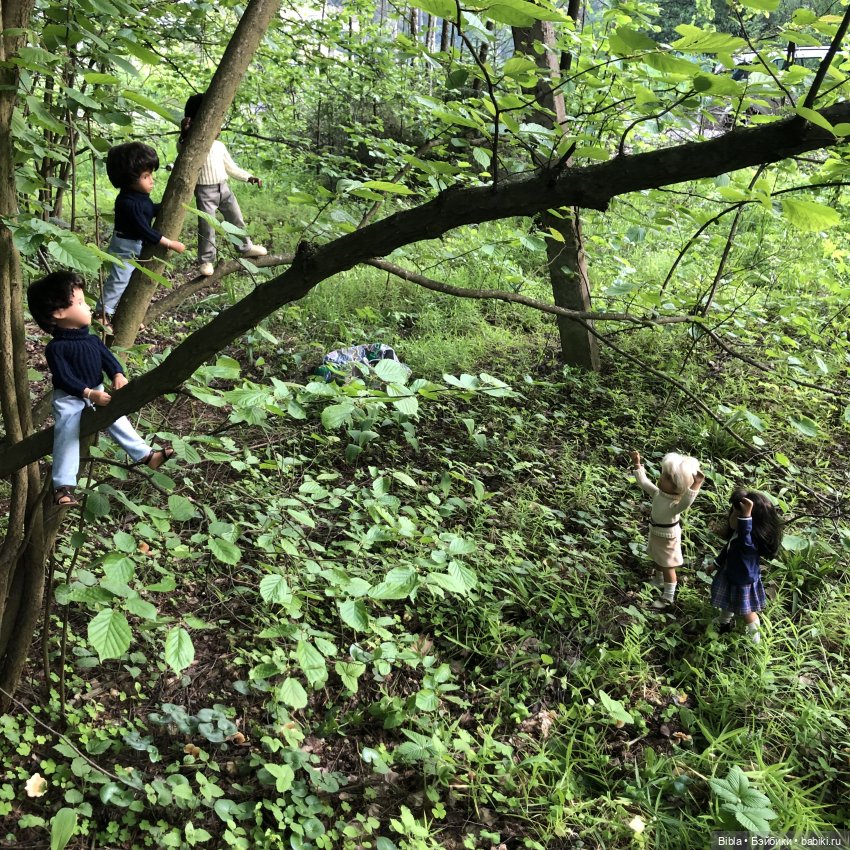 Куклы Sasha, выезд в лес — Куклы Sasha Morgenthaler (Саша Моргенталер): Trendon