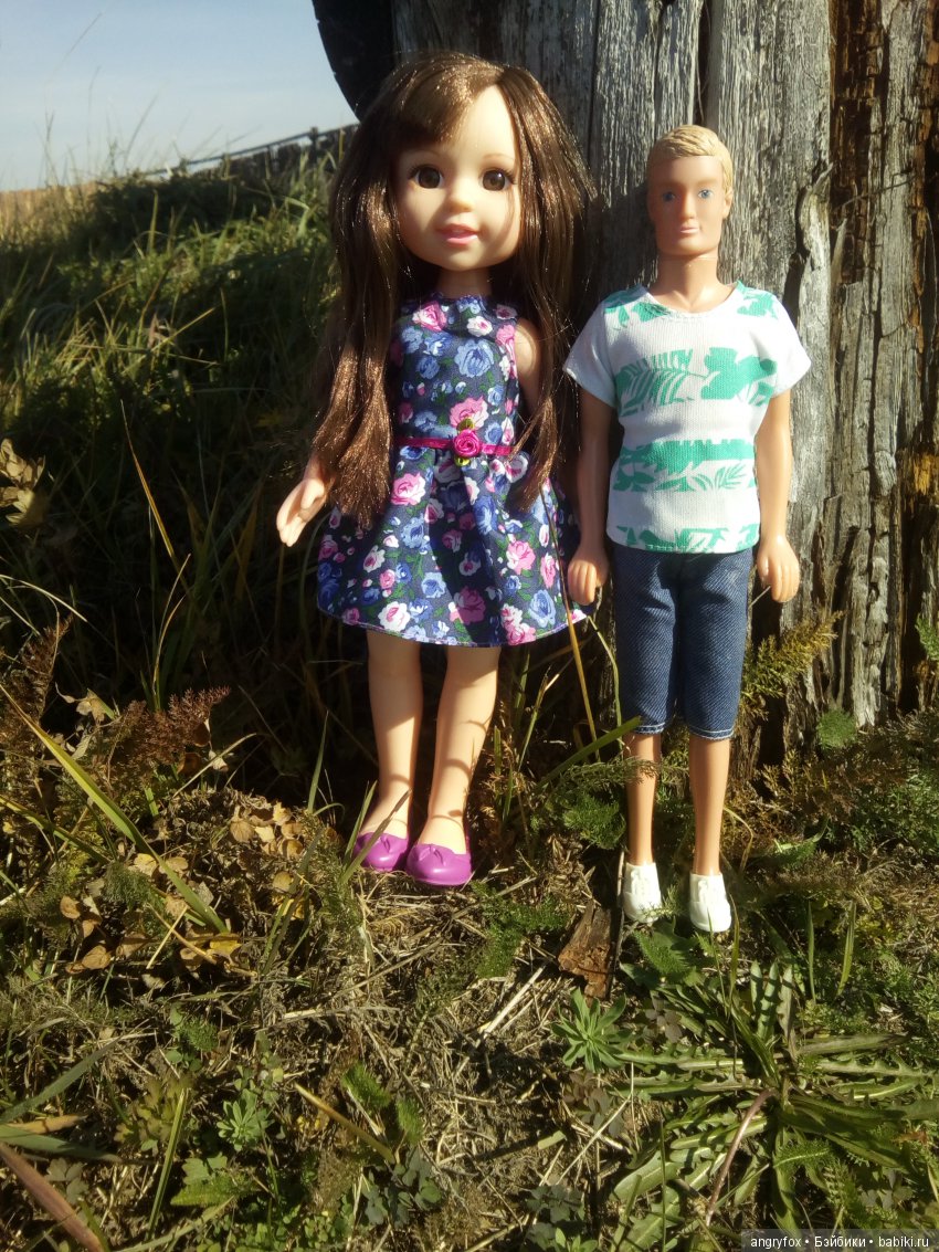 Кевин. Летняя прогулка. Красотка. Симба Кевин. Летняя прогулка. Красотка. Симба