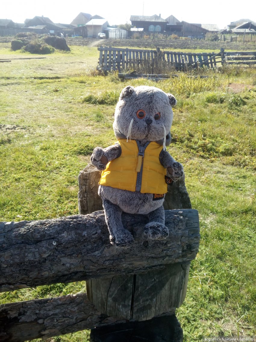 Давайте знакомиться | Бэйбики Давайте знакомиться — Интересные игрушки и фигурки (разное): редкие