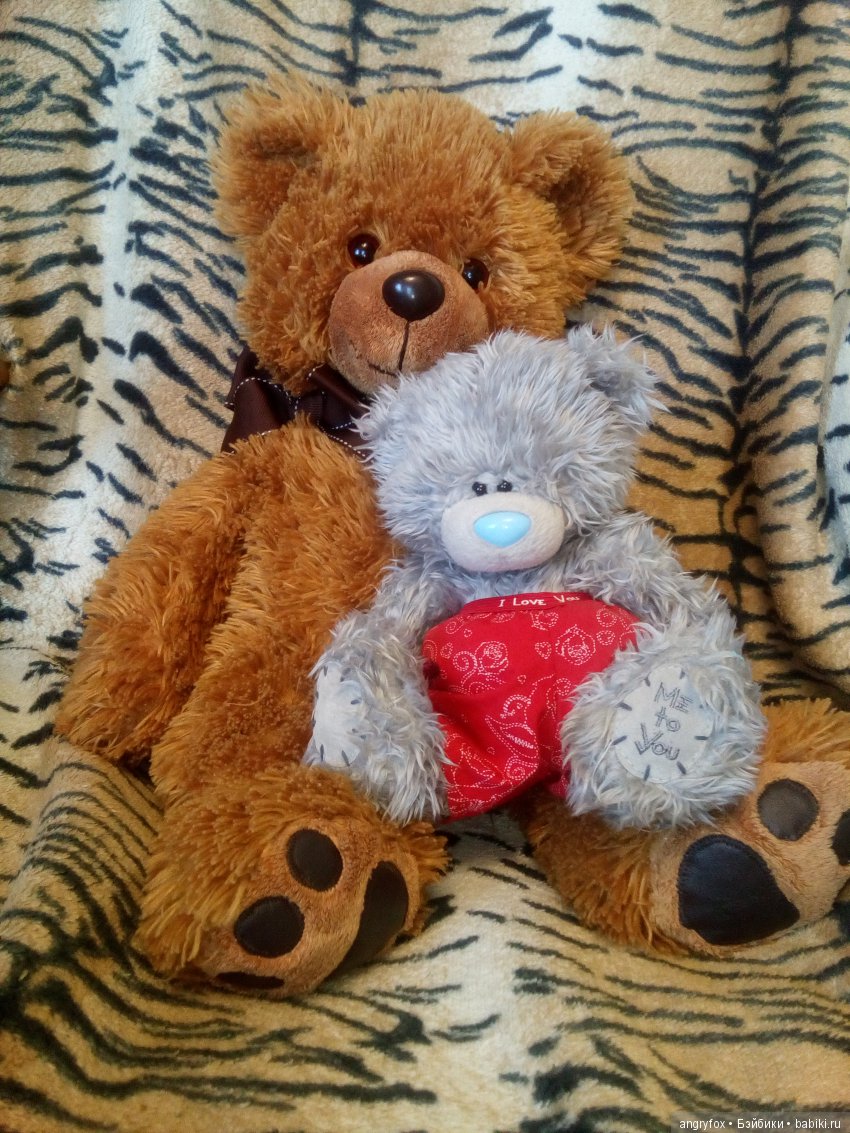 Тедди. Me to you. Аврора Тедди. Me to you. Аврора