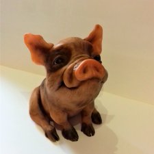 Свинка мини-пигг