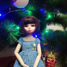 Не совсем бжд