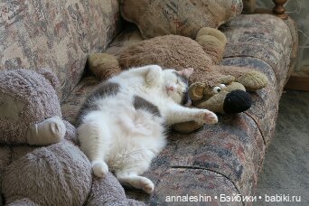 А мы своей уже 13 лет никак не решимся сказать, что это она живет у нас, а не мы у неё!