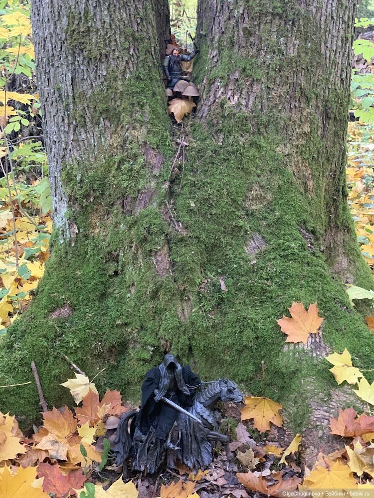 Первым его заметил Гимли.