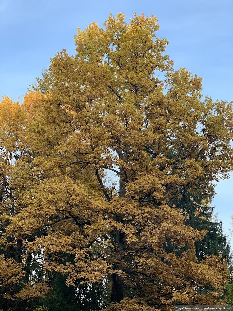 Action figures- сборная солянка (фото 6)