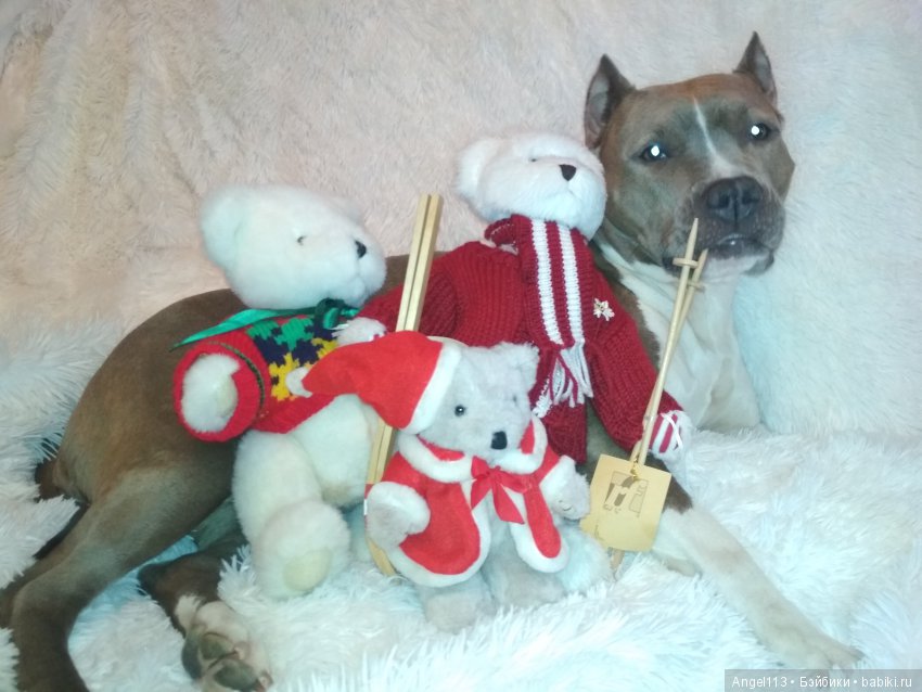 Мягкие игрушки