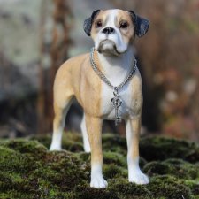 With love for animals