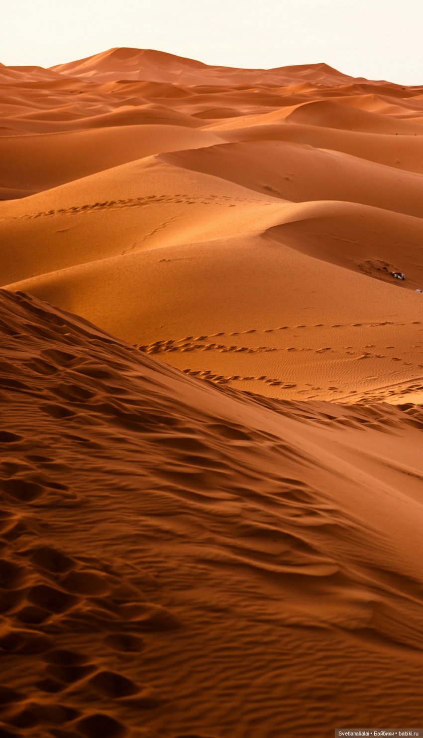 Августфест 2020. То, что осталось за кадром