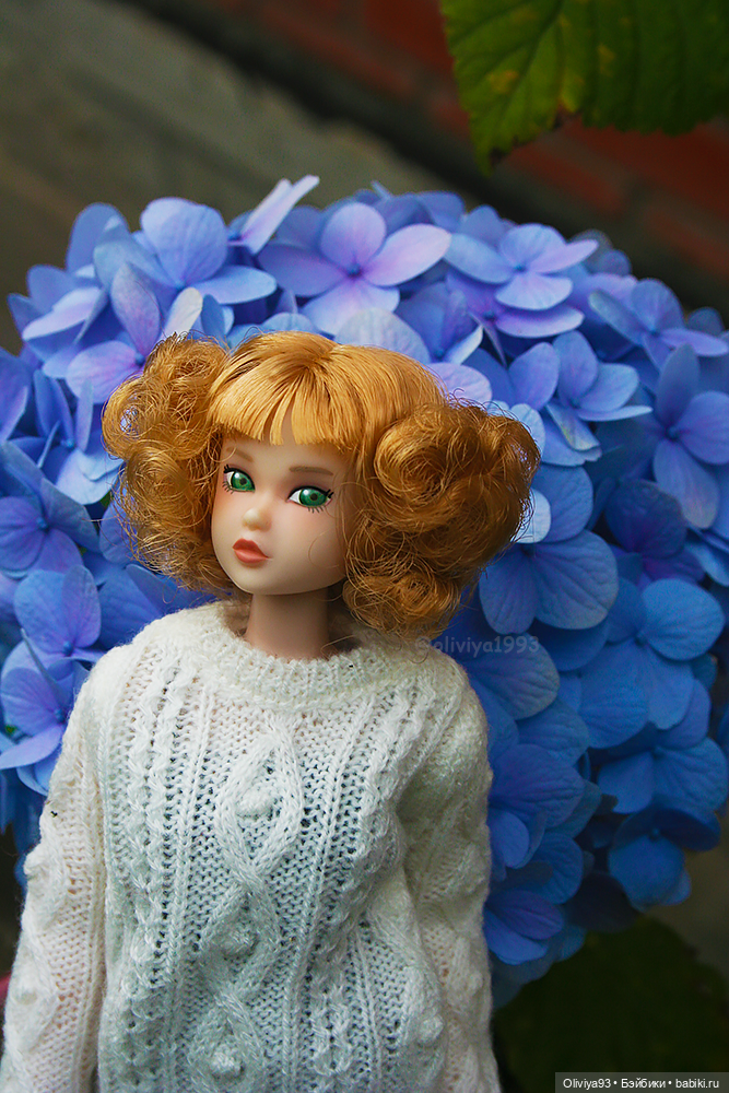 Энн (CCS 22NY momoko)