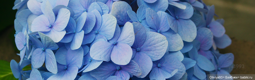 Загородная эстетика 🌳🏡 — Домашние фото авторских кукол: личные коллекции (фото 3)