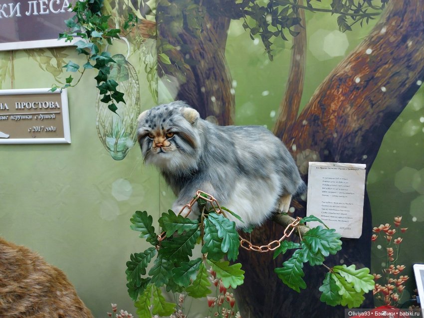 Выставка «Искусство Куклы» (окт. 2025) Выставка «Искусство Куклы» (окт. 2025)