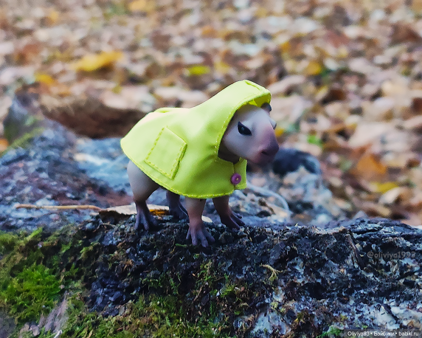 Малютка капибара от HiusDoll