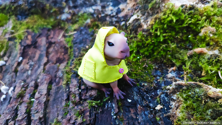 Малютка капибара от HiusDoll