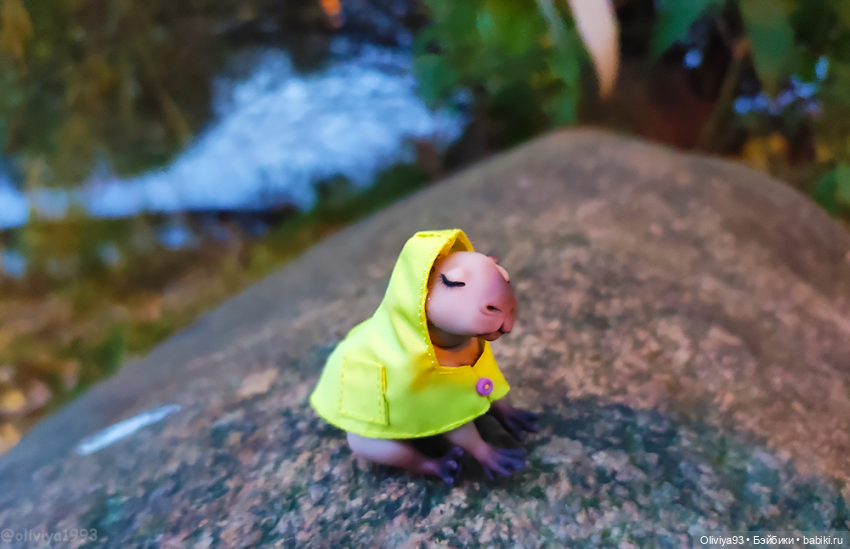 Малютка капибара от HiusDoll