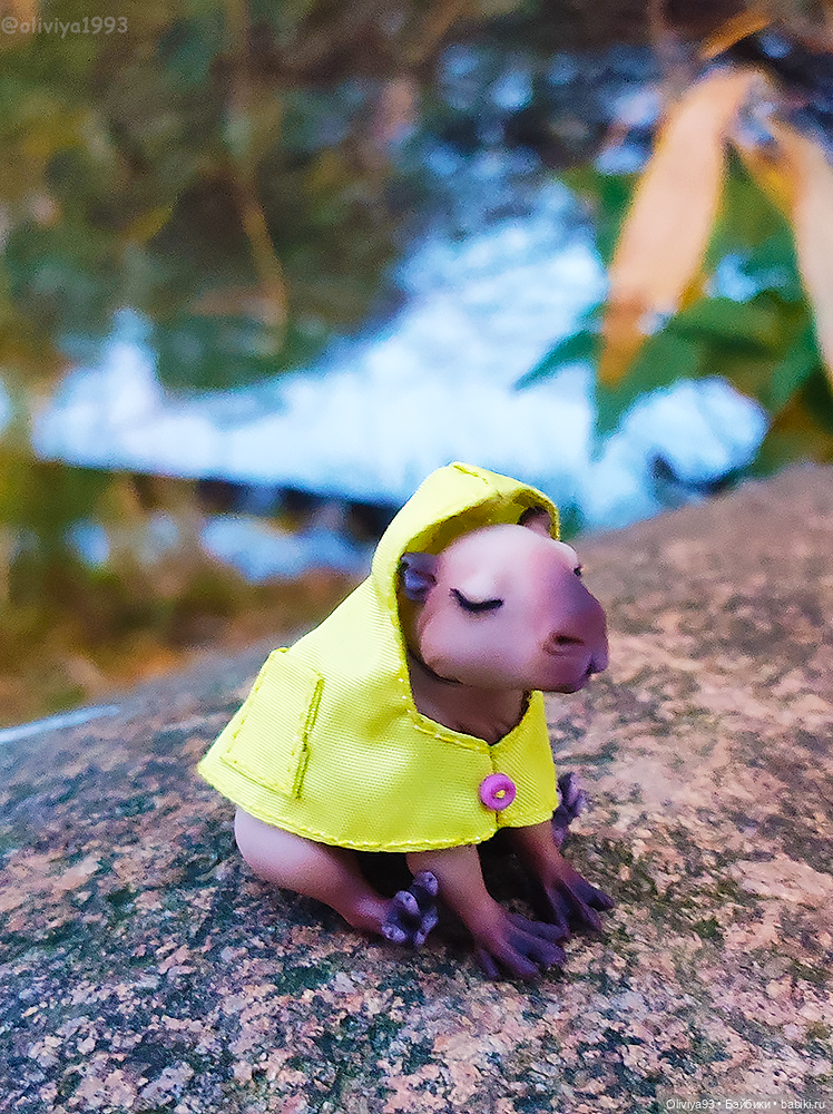 Малютка капибара от HiusDoll