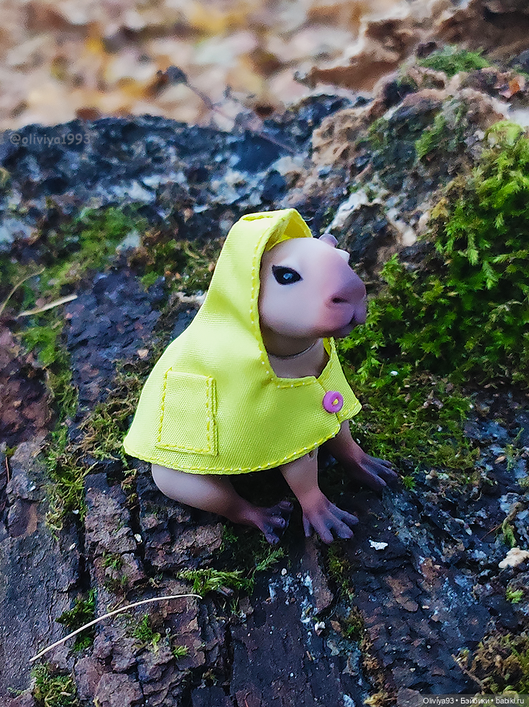 Малютка капибара от HiusDoll
