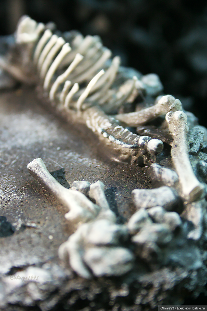 OOAK Гарпия Белая ворона (DollWorkshop)