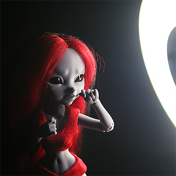 Голос коллекции • Ночной дозор (День 14)