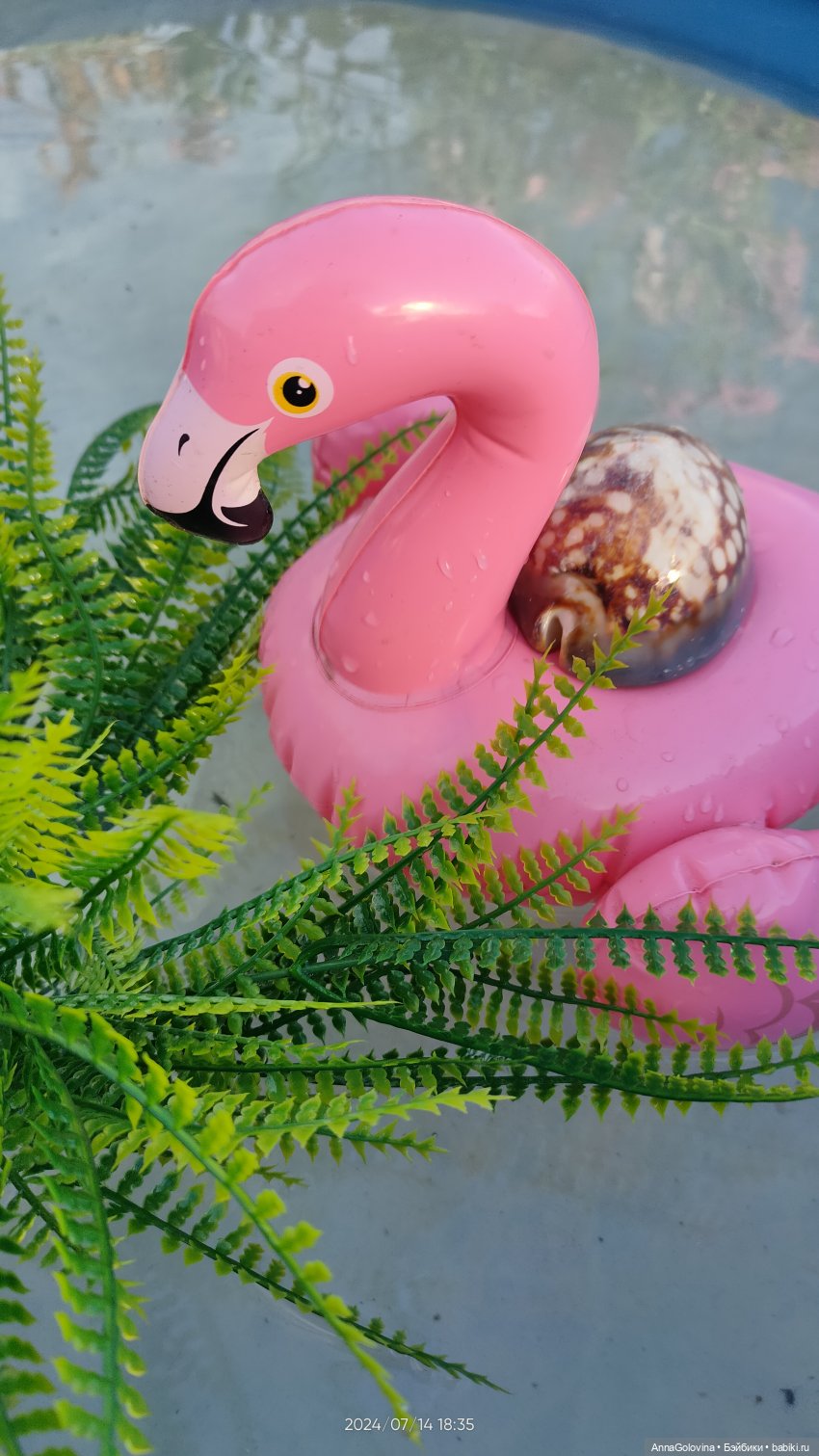 День Нептуна, или Впервые в лагере