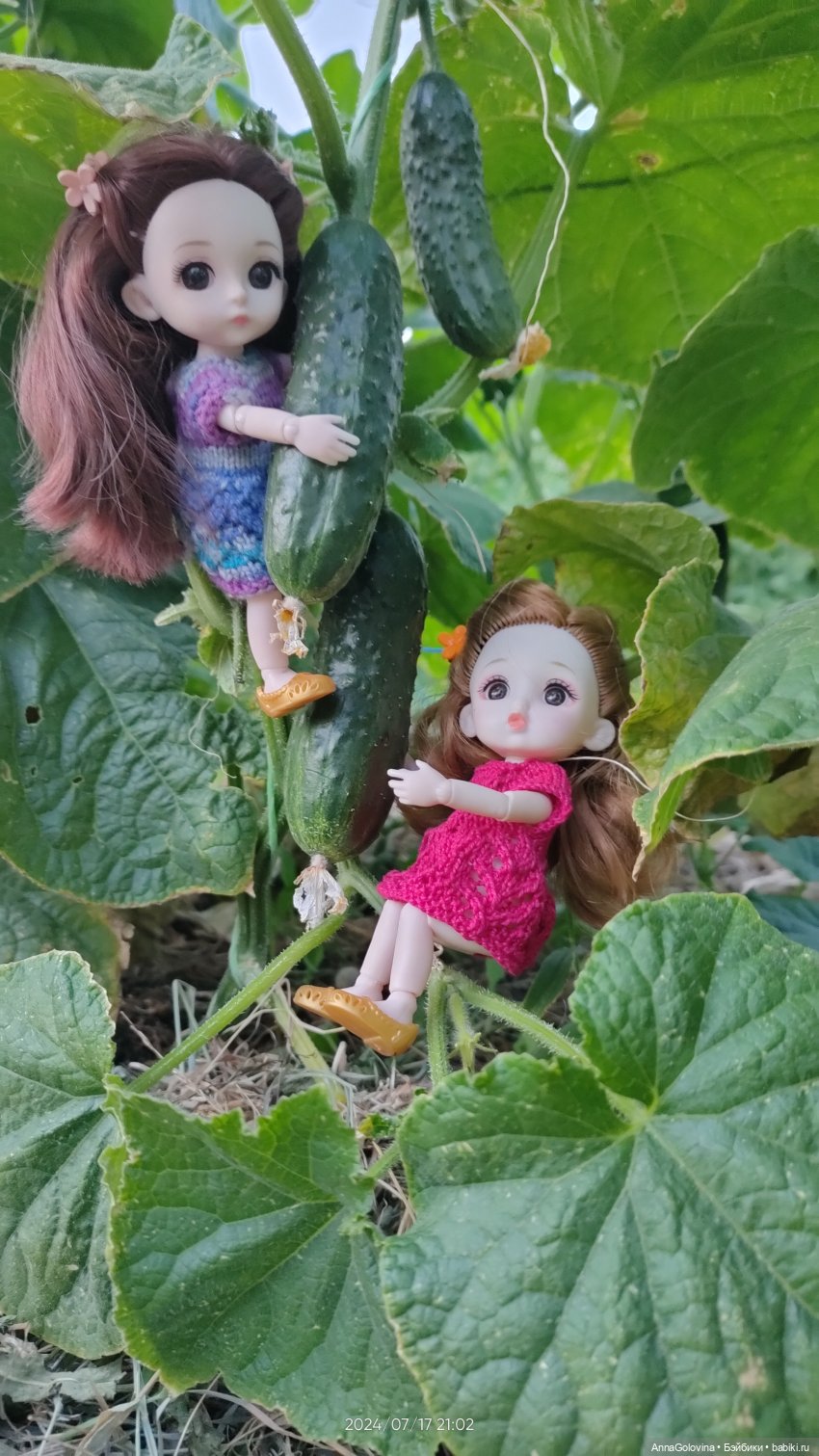 Лагерь "Дачный". Приключения продолжаются (фото 9)