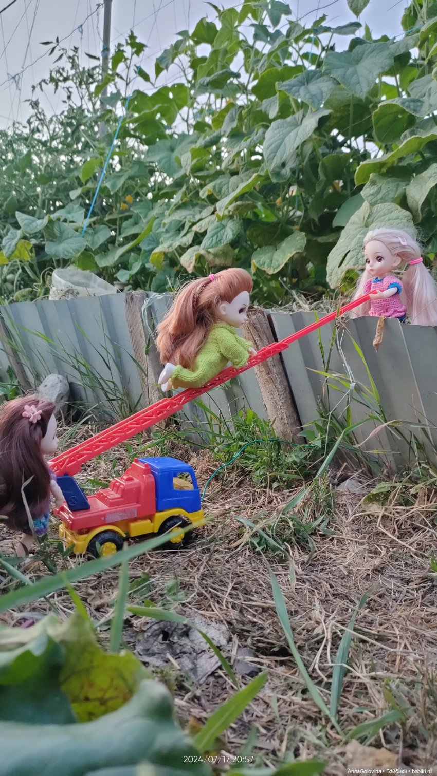 Лагерь "Дачный". Приключения продолжаются (фото 6)