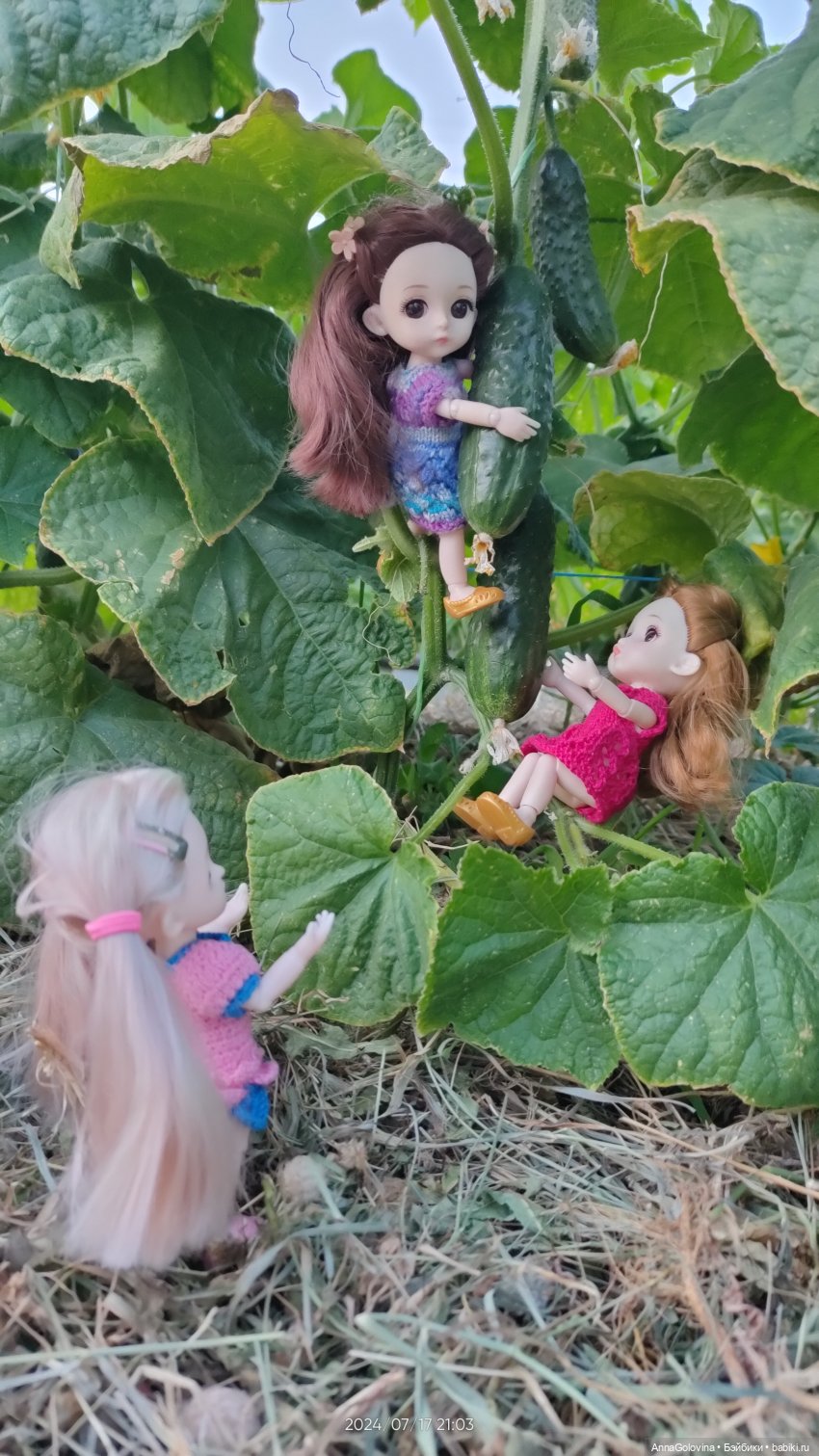 Лагерь "Дачный". Приключения продолжаются (фото 10)