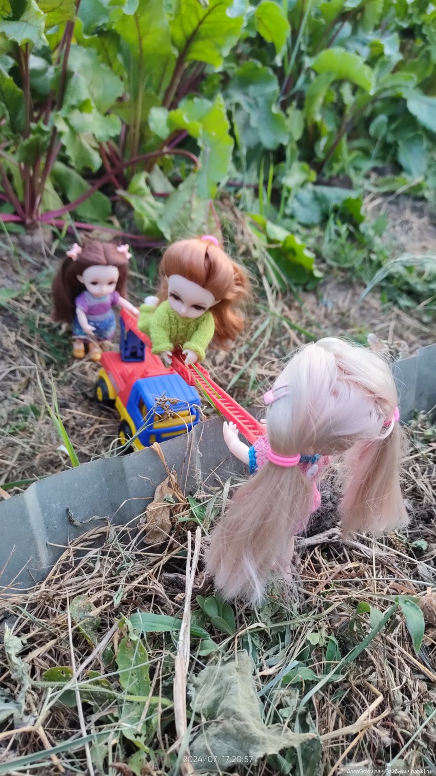 Лагерь "Дачный". Приключения продолжаются (фото 5)