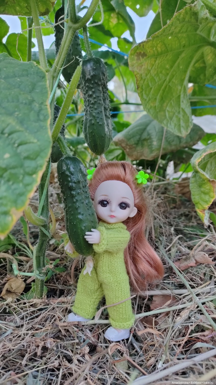 Лагерь "Дачный". Приключения продолжаются