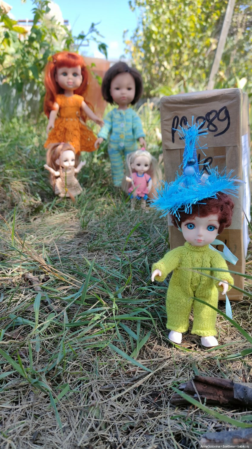 Подарок из Карелии — Интересное и необычное: фотоподборки (фото 4)