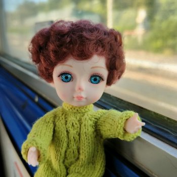 Подарок из Карелии.