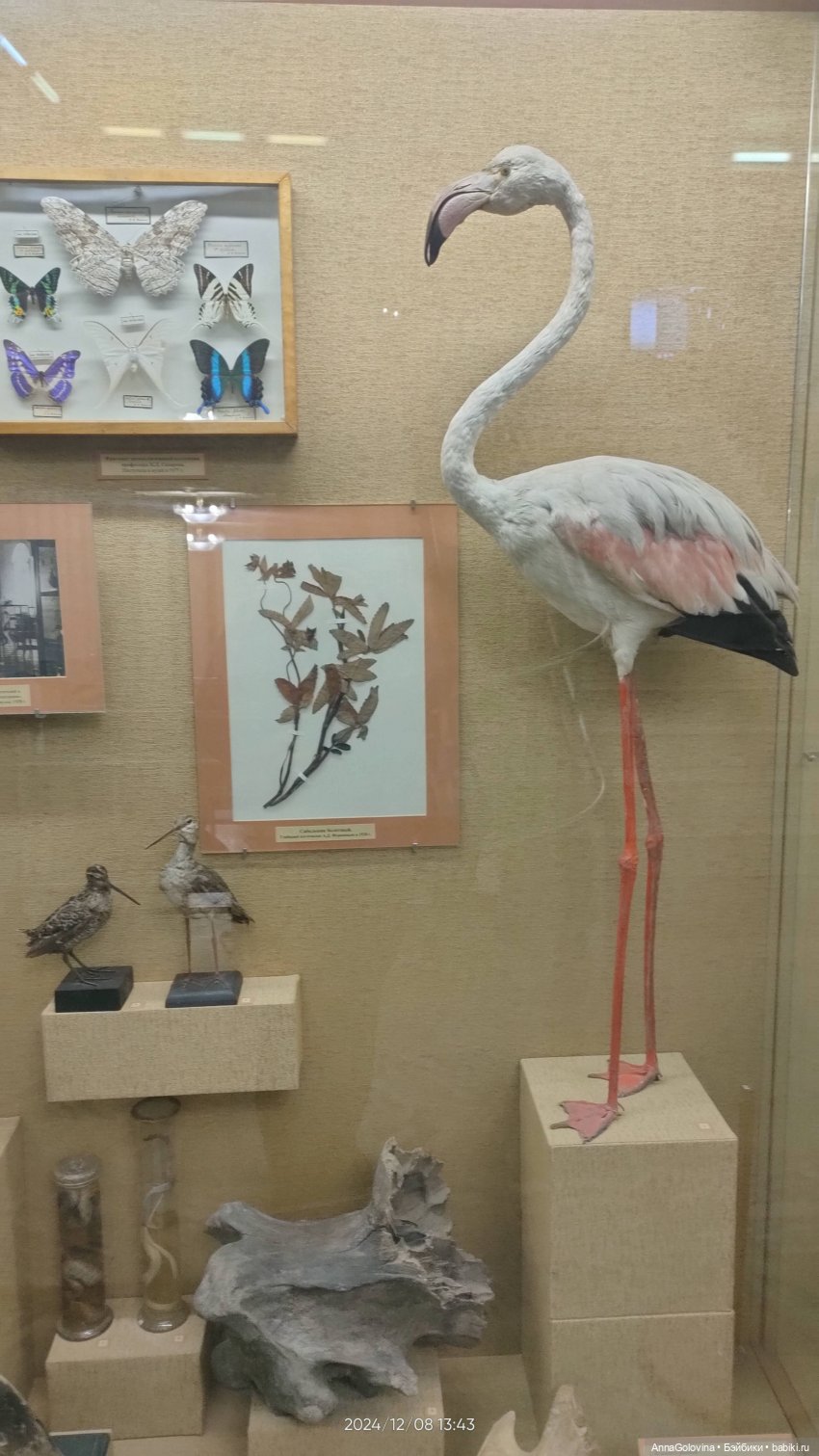 Как мы ходили в музей. Саратов. ЧАСТЬ 1