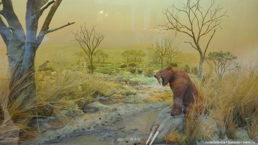 Как мы ходили в музей. Саратов. ЧАСТЬ 4 (фото 8)