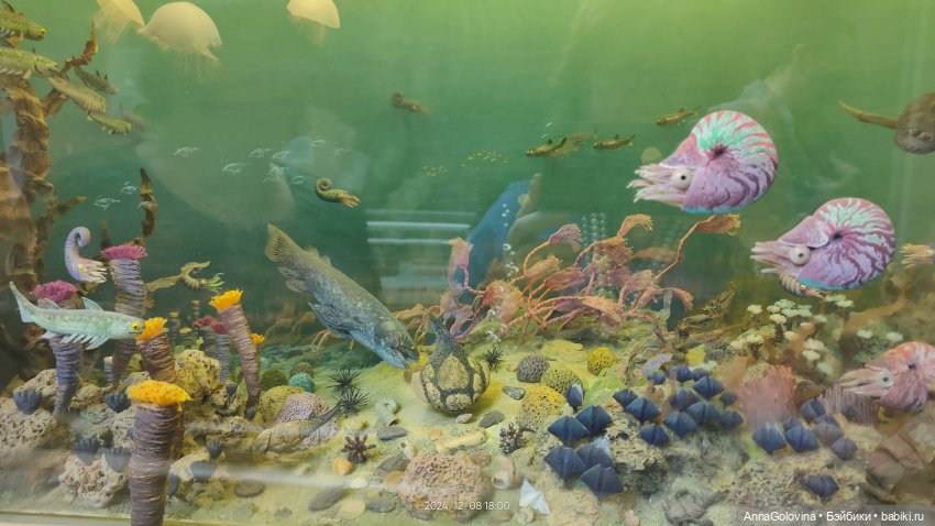 Как мы ходили в музей. Саратов. ЧАСТЬ 4