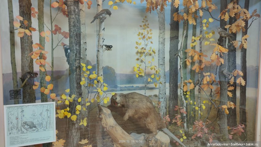 Как мы ходили в музей. Саратов. ЧАСТЬ 4