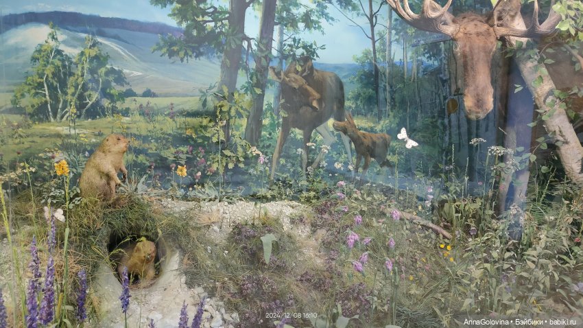 Как мы ходили в музей. Саратов. ЧАСТЬ 4