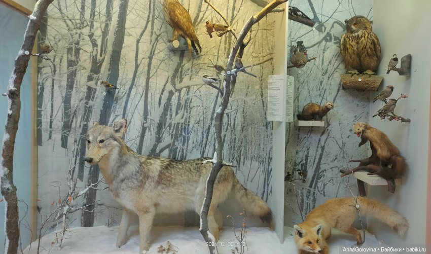 Как мы ходили в музей. Саратов. ЧАСТЬ 4