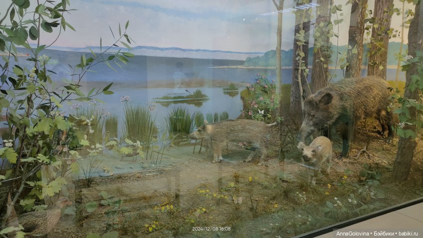 Как мы ходили в музей. Саратов. ЧАСТЬ 4