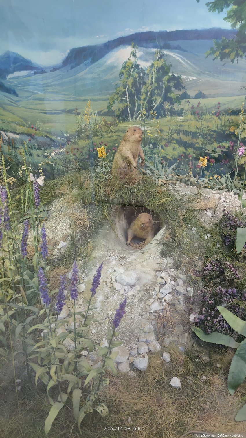 Как мы ходили в музей. Саратов. ЧАСТЬ 4