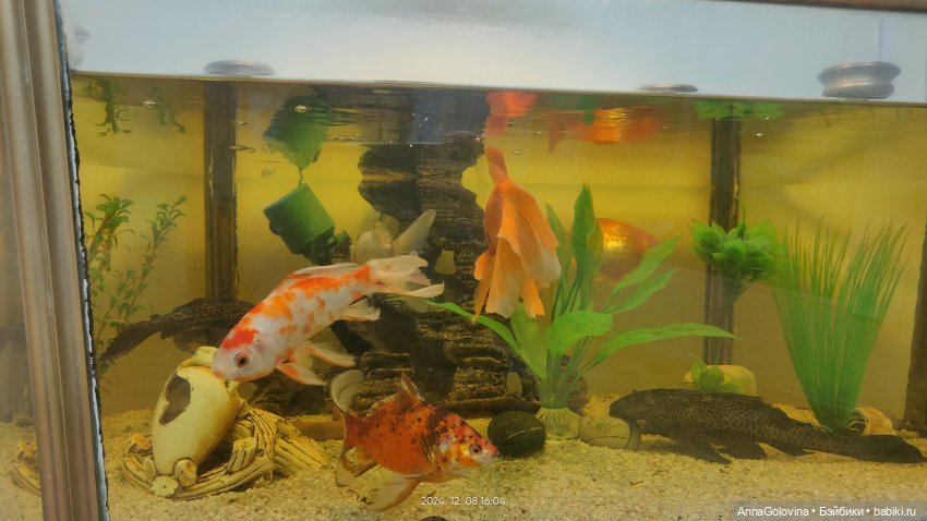 Как мы ходили в музей. Саратов. ЧАСТЬ 4