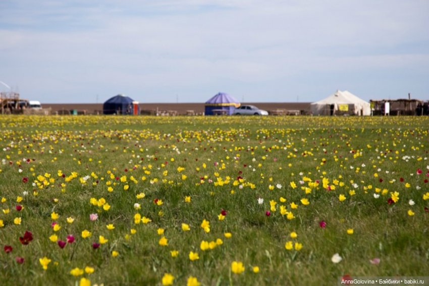 Как мы ходили в музей. Саратов. ЧАСТЬ 4