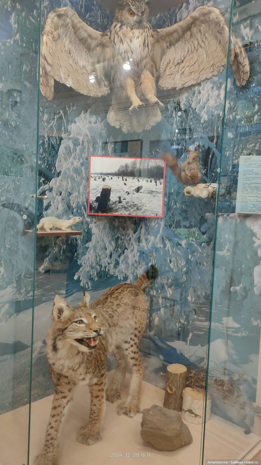 Как мы ходили в музей. Саратов. ЧАСТЬ 4