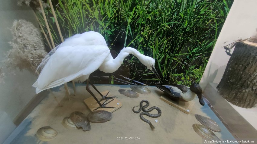 Как мы ходили в музей. Саратов. ЧАСТЬ 5 (фото 10)