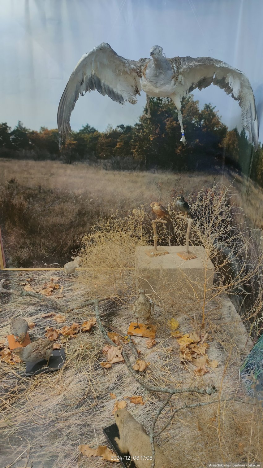 Как мы ходили в музей. Саратов. ЧАСТЬ 5