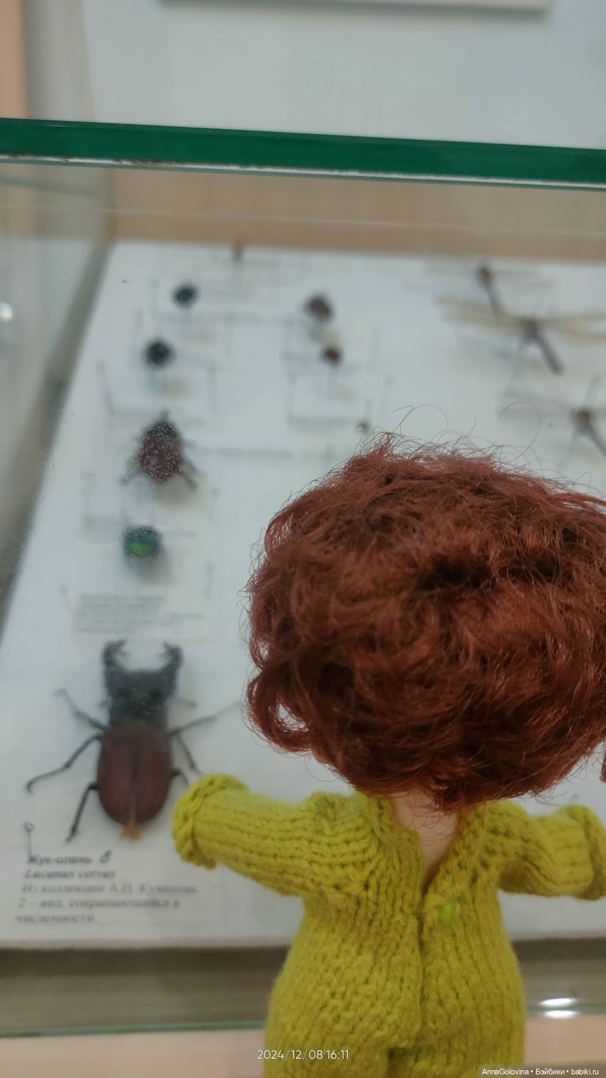 Как мы ходили в музей. Саратов. ЧАСТЬ 5 (фото 6)